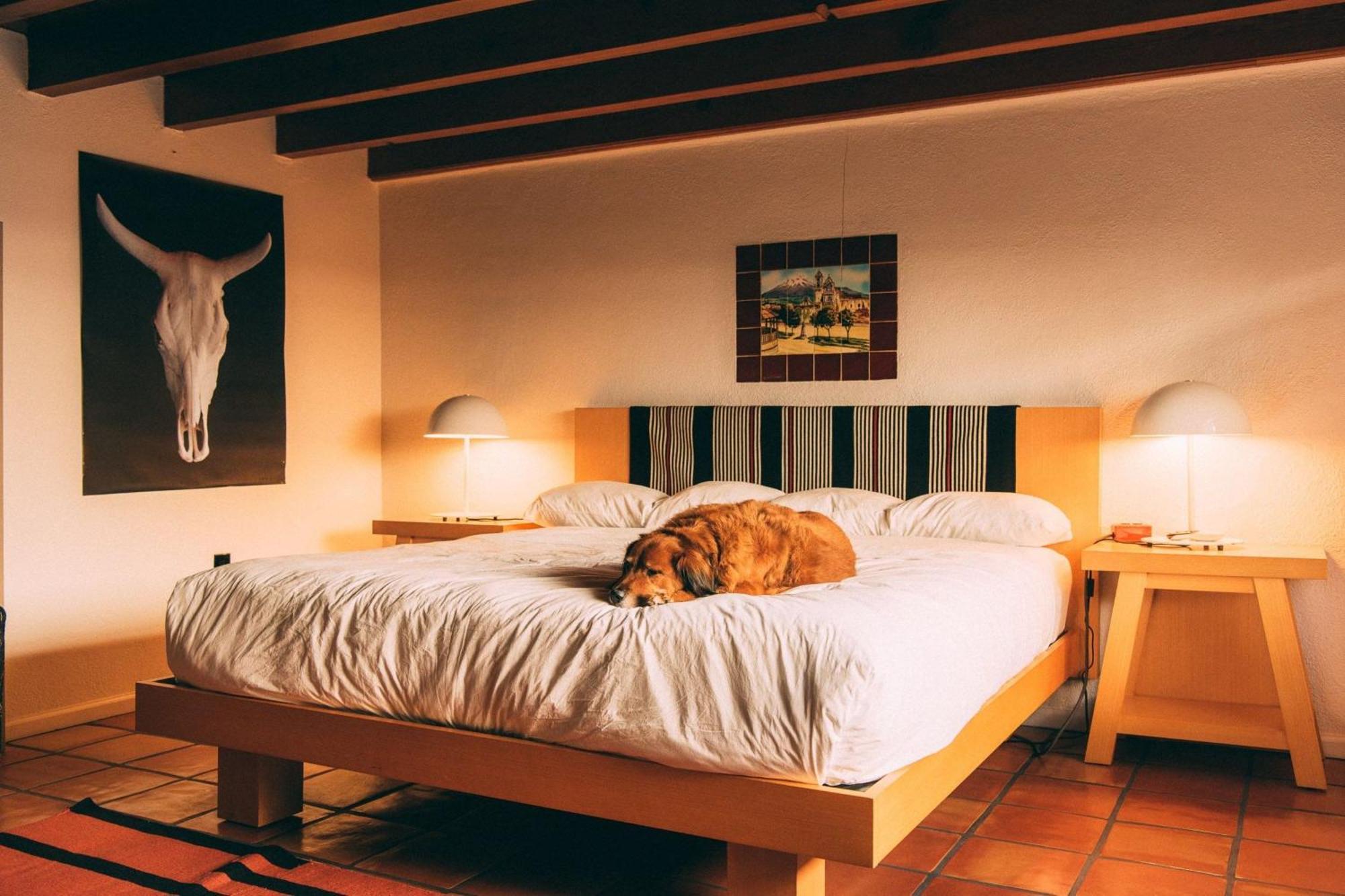 Hotel El Rey Court Santa Fe Esterno foto